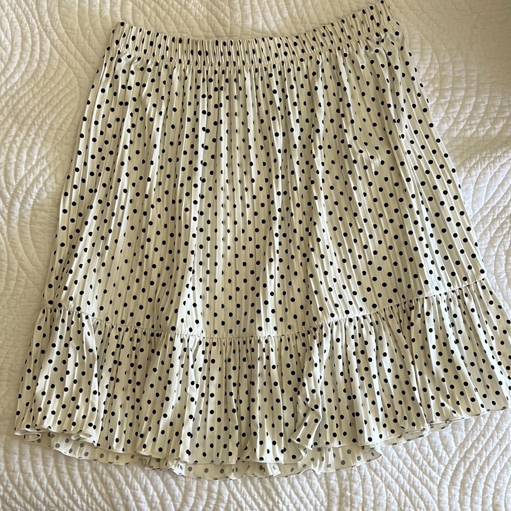 Zara Polka Dot Skirt
